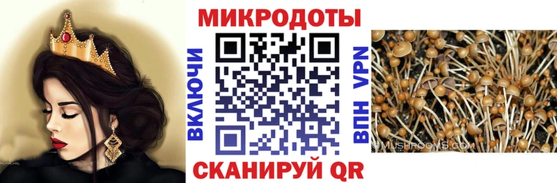 Псилоцибиновые грибы Cubensis дарк нет клад Белоярский